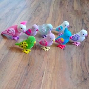 Little live pets birds